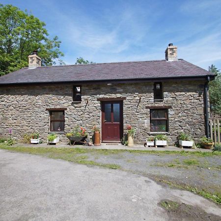 Cross Inn Ty Clyd 빌라 외부 사진